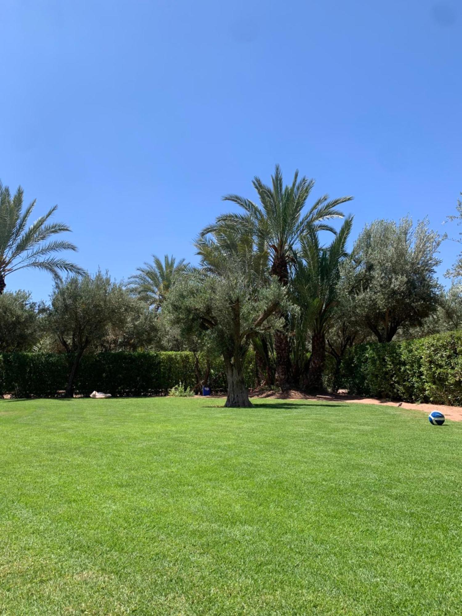 Villa Avec Piscine Privatisee A La Palmeraie Marrákes Kültér fotó