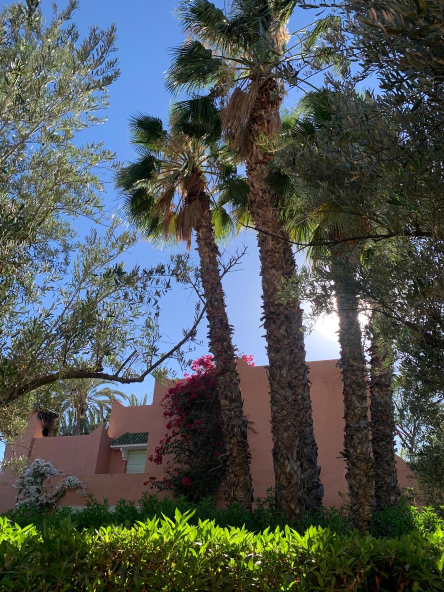 Villa Avec Piscine Privatisee A La Palmeraie Marrákes Kültér fotó